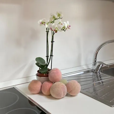 Mezzobaiocco Summer Apartment *